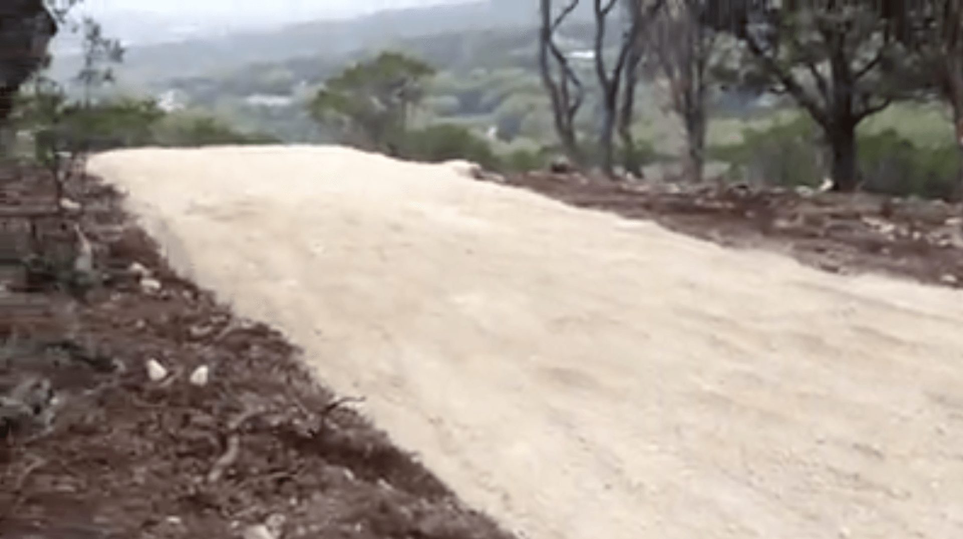 Land clearing project photo — Hunter Land Clearing